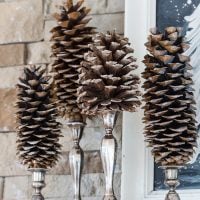 Pine cones on silver candlesticks