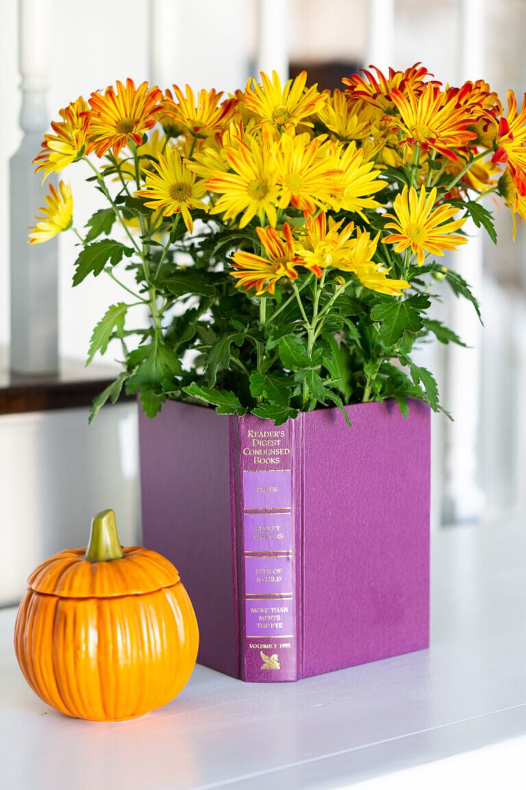 Decorative DIY Planter Cover With Old Books