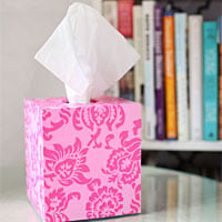 Thrift Store Transformation: Tissue Box Cover