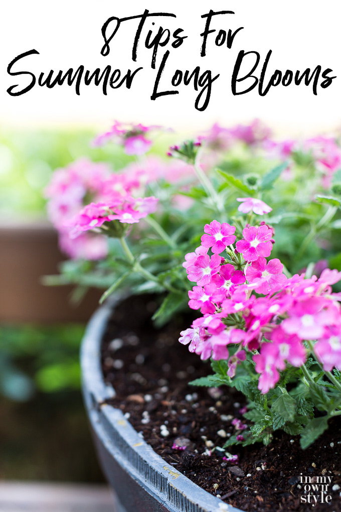 How To Grow Flowers That Will Bloom All Summer Long