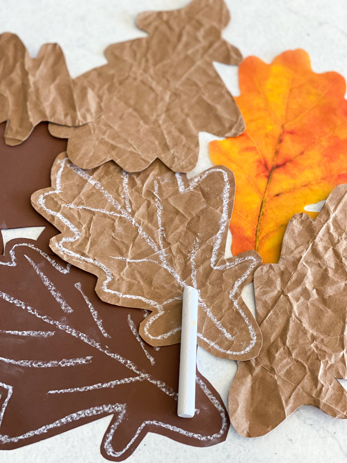 brown paper cut into oak leaves and outlined in white chalk.