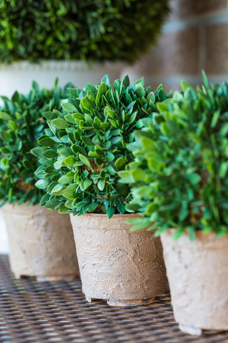 Transform a Plastic Planter to Look Like Weathered Stone