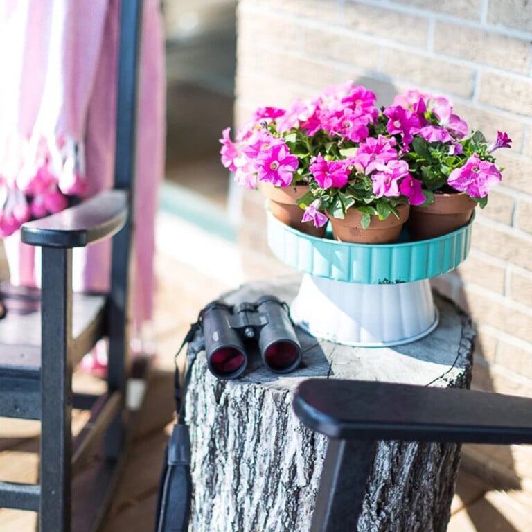 Thrifty Deck Decorating Ideas on a Budget