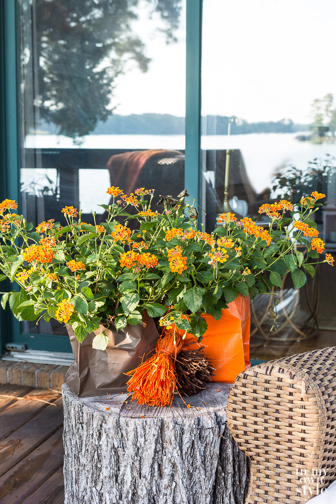 Fabulous Fall Home Tour