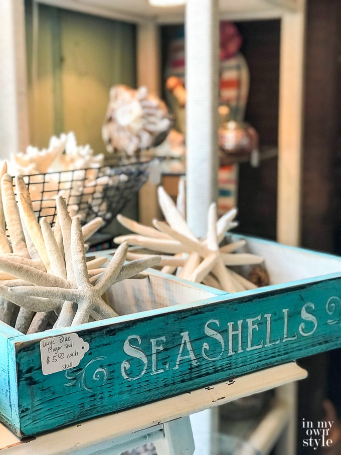 Finding Decorating Treasure In Panama City Beach